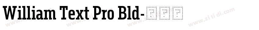 William Text Pro Bld字体转换